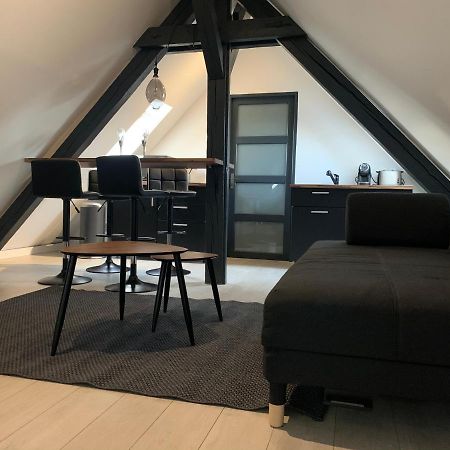 Cocoon Loft Lejlighed Colmar Eksteriør billede