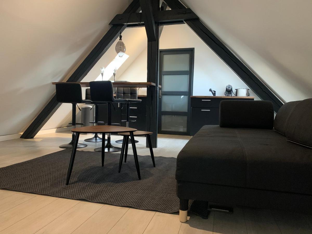 Cocoon Loft Lejlighed Colmar Eksteriør billede