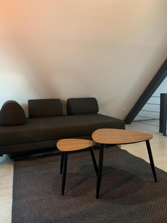 Cocoon Loft Lejlighed Colmar Eksteriør billede