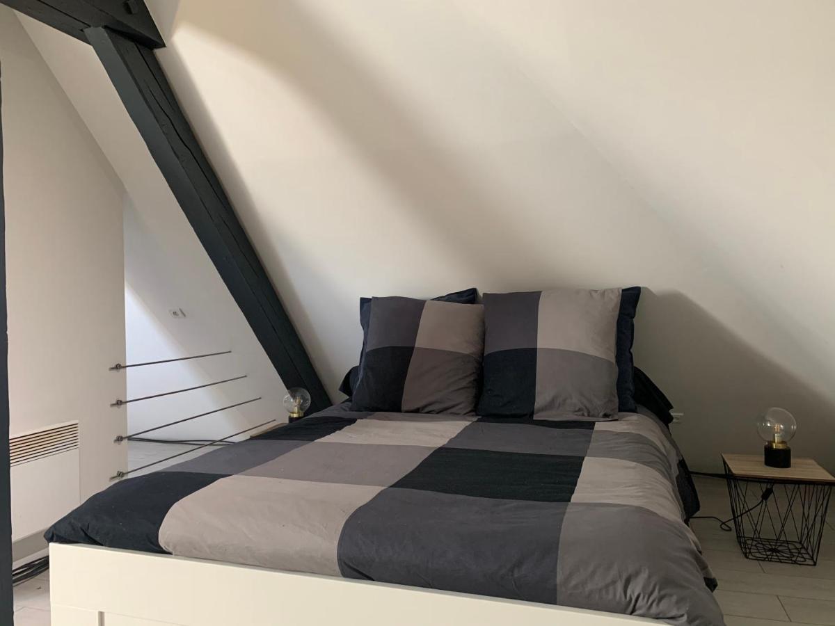 Cocoon Loft Lejlighed Colmar Eksteriør billede